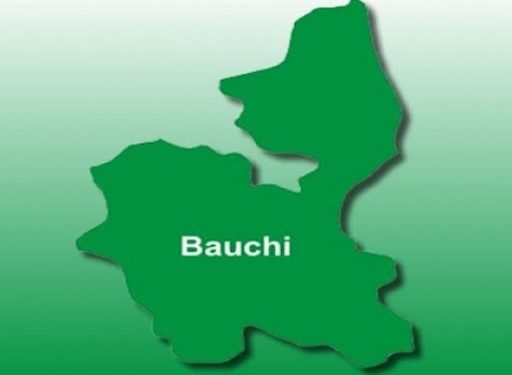 Gunmen Invade Bauchi