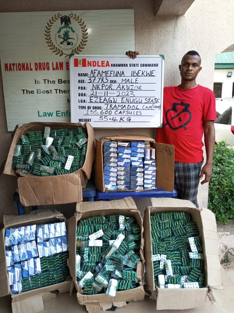 NDLEA raids Illicit Drug Party in Osun State, nabs organizers | Nigeriacrime